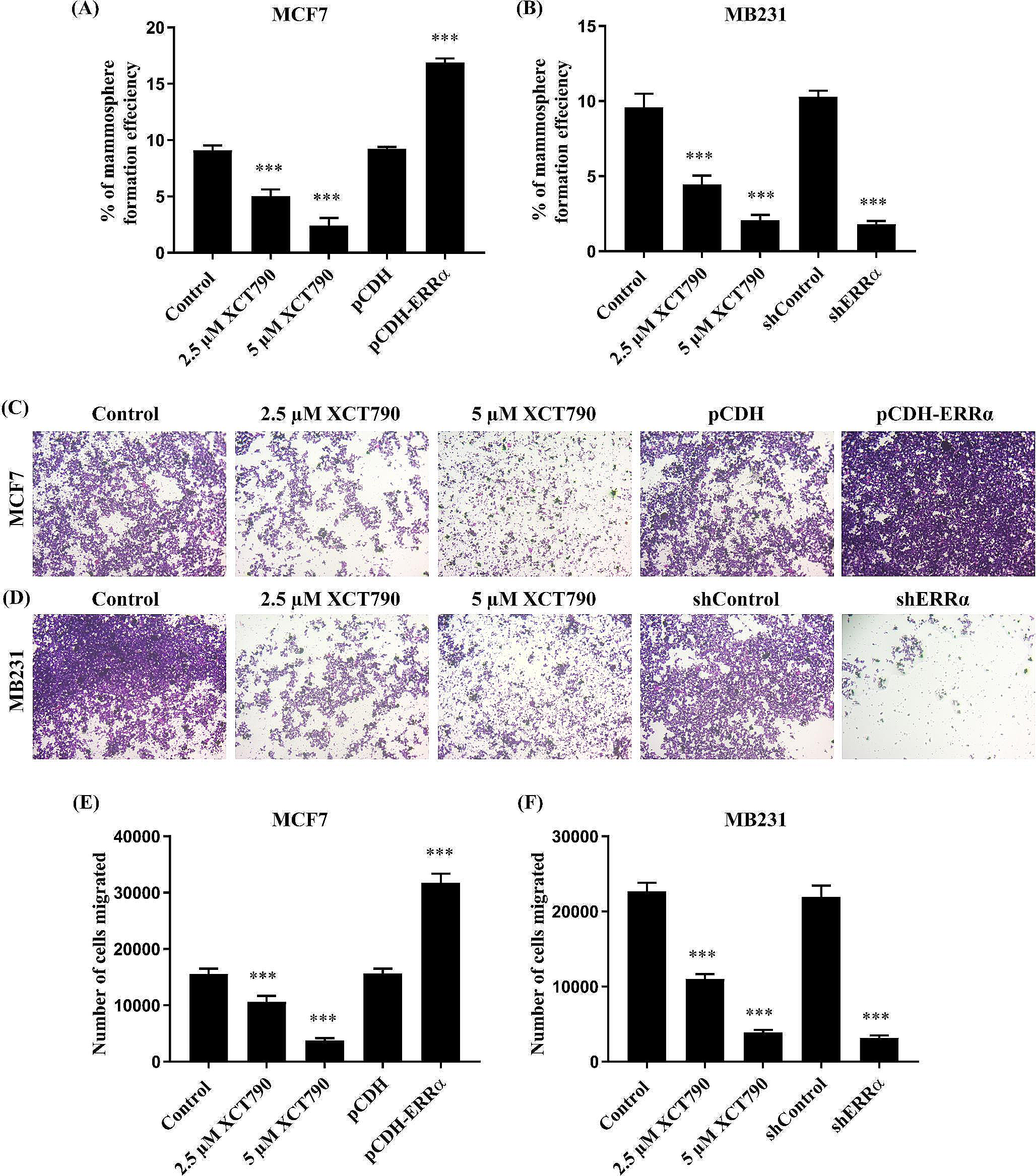 Estrogen-related receptor alpha (ERRα) promotes the migration, invasion and angiogenesis of breast cancer stem cell-like cells