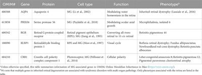Cell-cell interaction in the pathogenesis of inherited retinal diseases