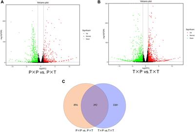 Comparative stigmatic transcriptomics reveals self and cross pollination responses to heteromorphic incompatibility in Plumbago auriculata Lam.