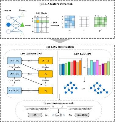 Finding potential lncRNA–disease associations using a boosting-based ensemble learning model