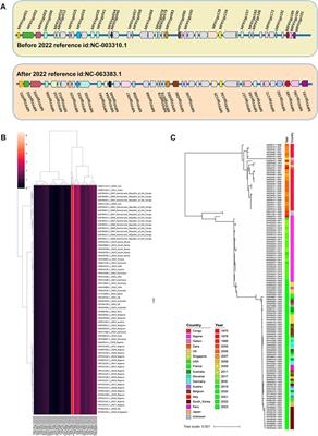 Compositional features analysis by machine learning in genome represents linear adaptation of monkeypox virus