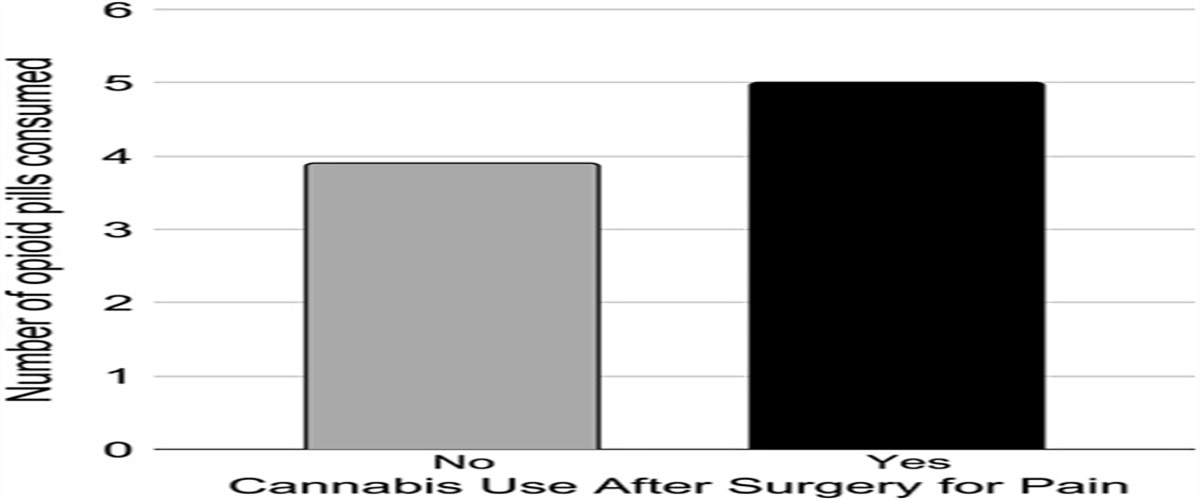 The Association of Cannabis Use After Discharge From Surgery With Opioid Consumption and Patient-reported Outcomes