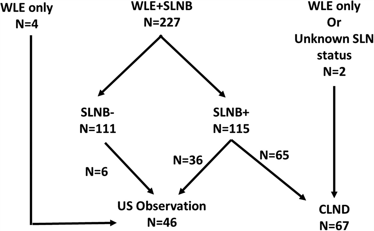 Comparison of Outcomes Between Surveillance Ultrasound and Completion Lymph Node Dissection in Children and Adolescents With Sentinel Lymph Node-Positive Cutaneous Melanoma