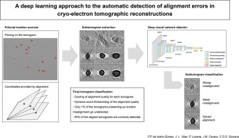 A deep learning approach to the automatic detection of alignment errors in cryo-electron tomographic reconstructions