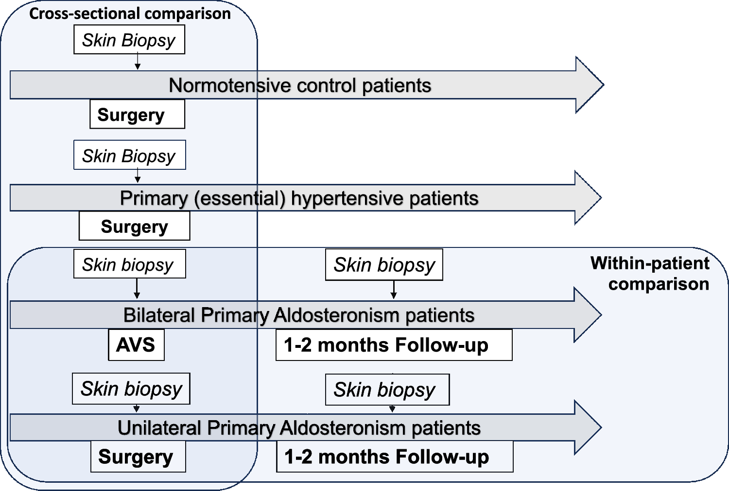 Water and Electrolyte Content in Salt-Dependent HYpertension in the SKIn (WHYSKI): Effect of Surgical Cure of Primary Aldosteronism