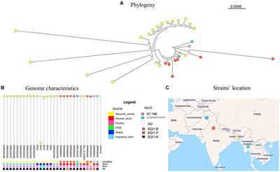 Nanopore sequencing for identification and characterization of antimicrobial-resistant Escherichia coli and Salmonella spp. from tilapia and shrimp sold at wet markets in Dhaka, Bangladesh
