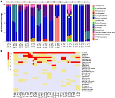Comparative metabarcoding and biodiversity of gut-associated fungal assemblages of Dendroctonus species (Curculionidae: Scolytinae)