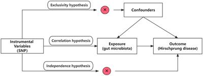 Association between gut microbiota and Hirschsprung disease: a bidirectional two-sample Mendelian randomization study