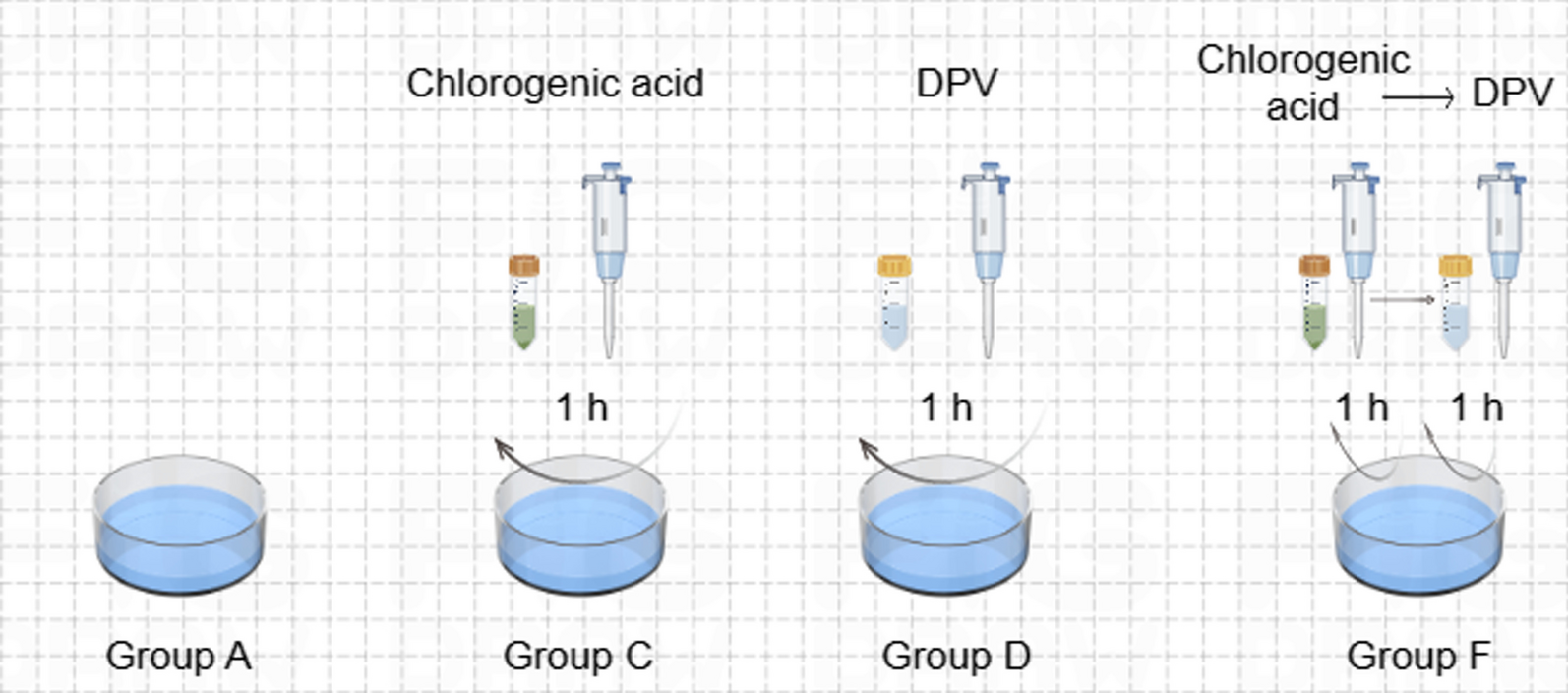 RNA-seq analysis of chlorogenic acid intervention in duck embryo fibroblasts infected with duck plague virus