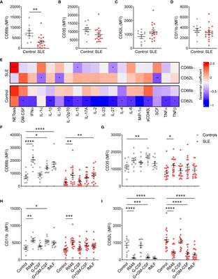 Neutrophils isolated from systemic lupus erythematosus patients exhibit a distinct functional phenotype