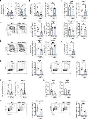 GPR41 and GPR43 regulate CD8+ T cell priming during herpes simplex virus type 1 infection