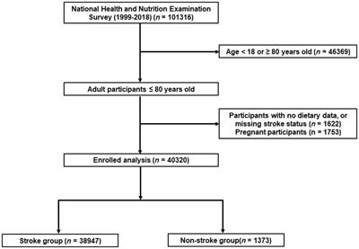 Association of composite dietary antioxidant index with prevalence of stroke: insights from NHANES 1999-2018