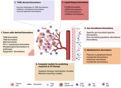 Biomarkers and computational models for predicting efficacy to tumor ICI immunotherapy