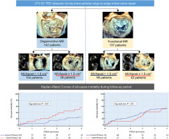 Long-Term Impact of Small Mitral Valve Orifice Area after Transcatheter Edge-to-Edge Mitral Valve Repair on Clinical Outcome: A Three-Dimensional Echocardiography Study