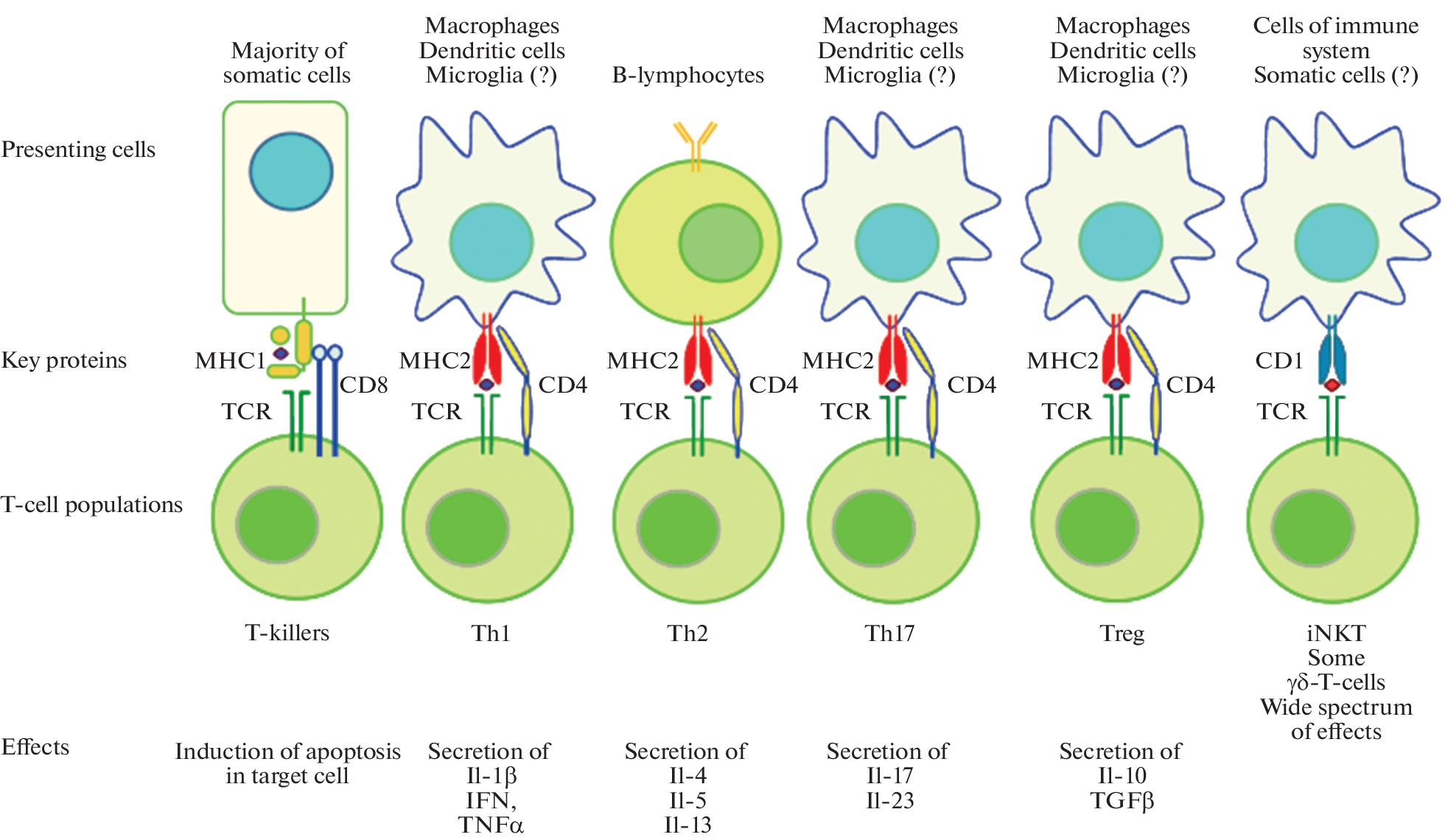 T-Cell Aspects of Some Neurological Diseases