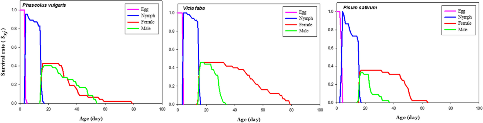 Demographic Parameters of Anthocoris minki Dohrn (Hemiptera: Anthocoridae) Reared on Common Bean (Phaseolus vulgaris L.), Faba Bean (Vicia faba L.) and Pea (Pisum sativum L.) as Egg Laying Media