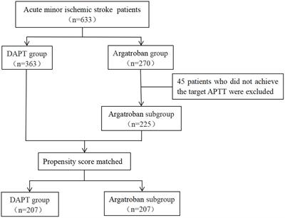 The effect of argatroban on early neurological deterioration and outcomes in minor ischemic stroke: preliminary findings
