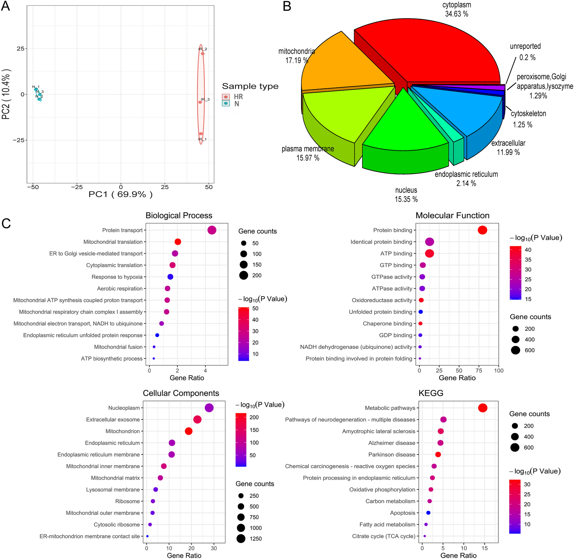 Proteomic analysis of mitochondria associated membranes in renal ischemic reperfusion injury