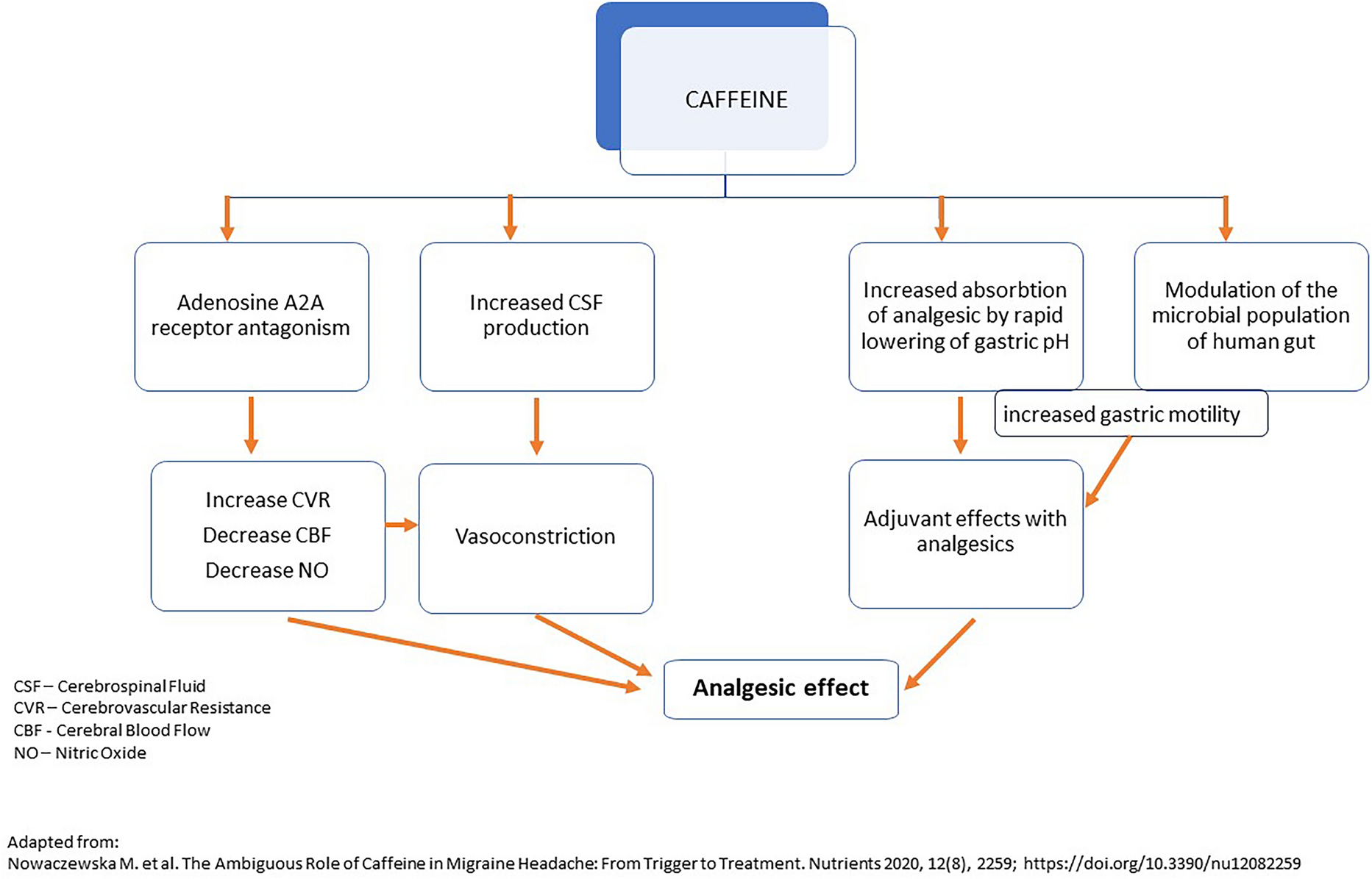 The Role of the Combination Paracetamol/Caffeine in Treatment of Acute Migraine Pain: A Narrative Review