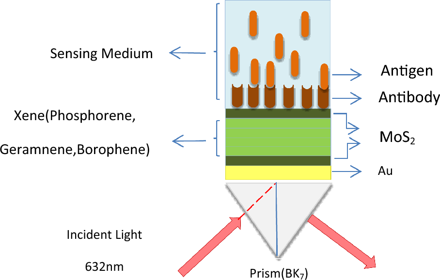 Effect of MoS2 and (phosphorene, germanene, borophene) hybrid structure on the performance of an SPR biosensor for detection of bacteria