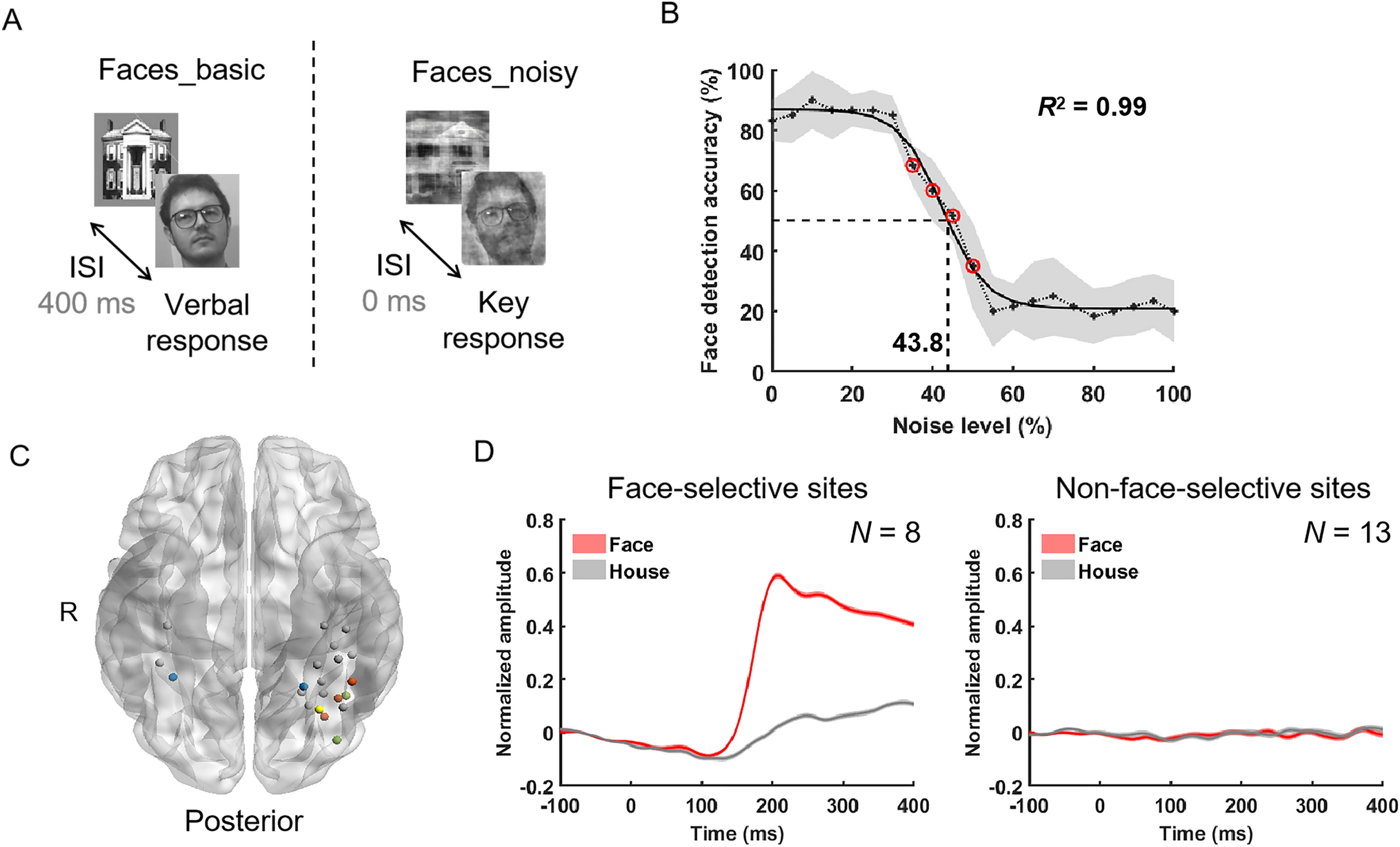 Face-Specific Activity in the Ventral Stream Visual Cortex Linked to Conscious Face Perception
