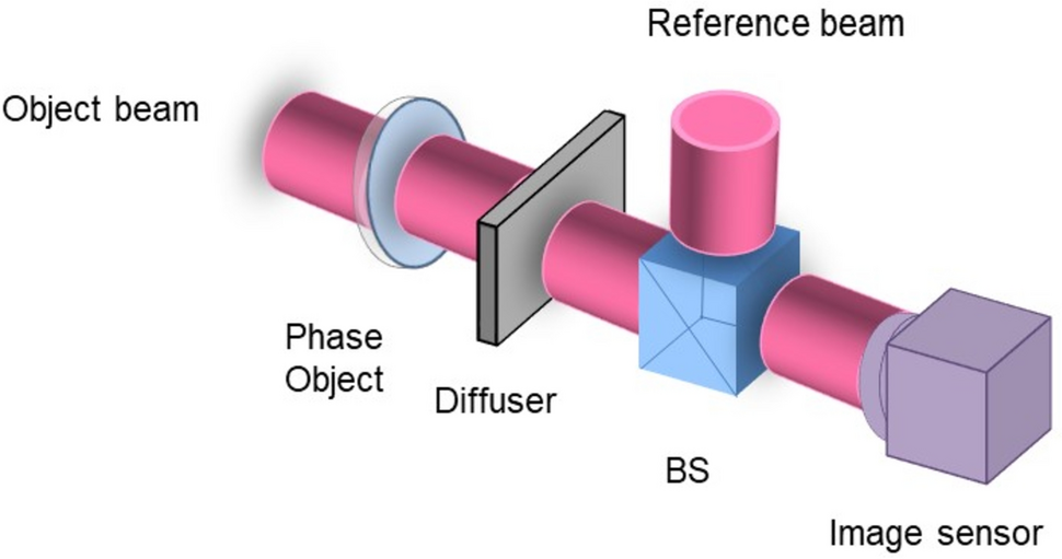 Imaging phase objects through diffusers based on lensless digital holography