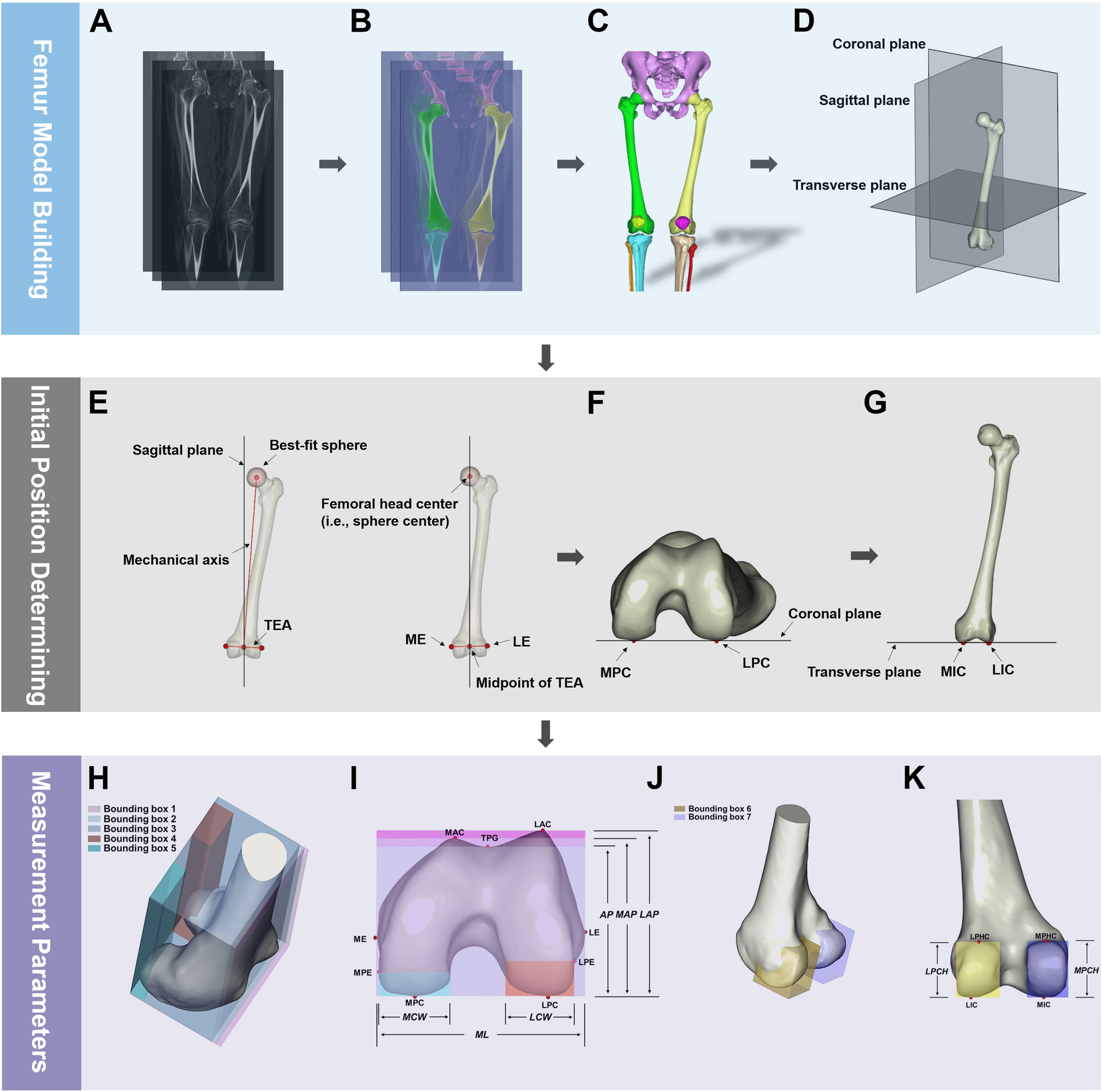 Five or more gender- and size-diverse customizations of distal femur prostheses are needed to improve fit for Chinese knees