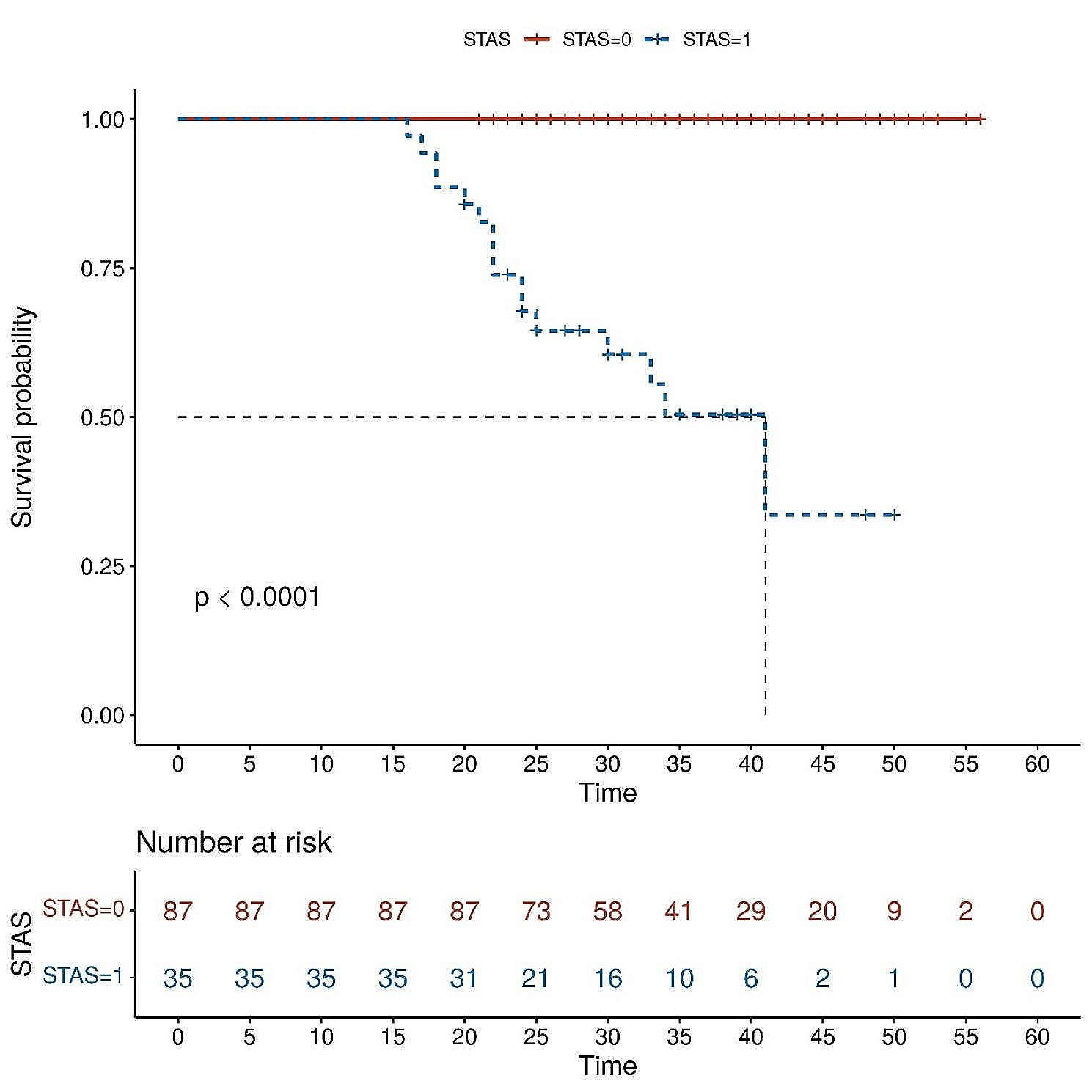 The effect of spread through air spaces on postoperative recurrence-free survival in patients with multiple primary lung cancers