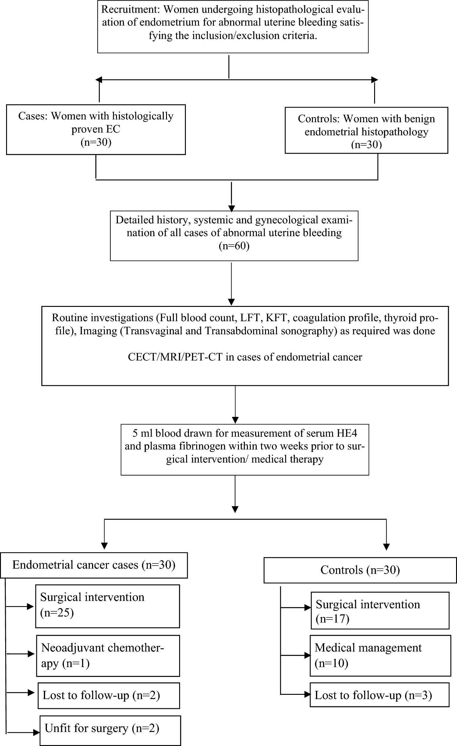Exploring the Potential of Serum Biomarkers Human Epididymis Protein-4 and Fibrinogen in Endometrial Cancer