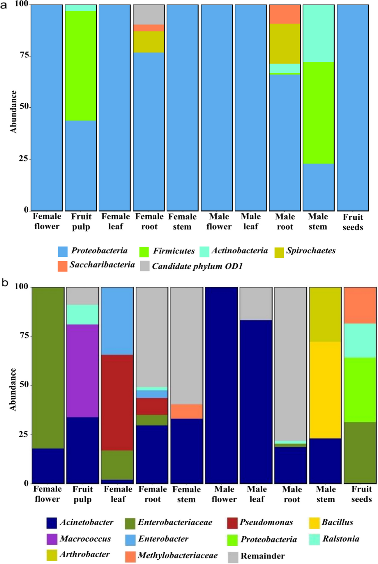 Unraveling endophytic diversity in dioecious Siraitia grosvenorii: implications for mogroside production