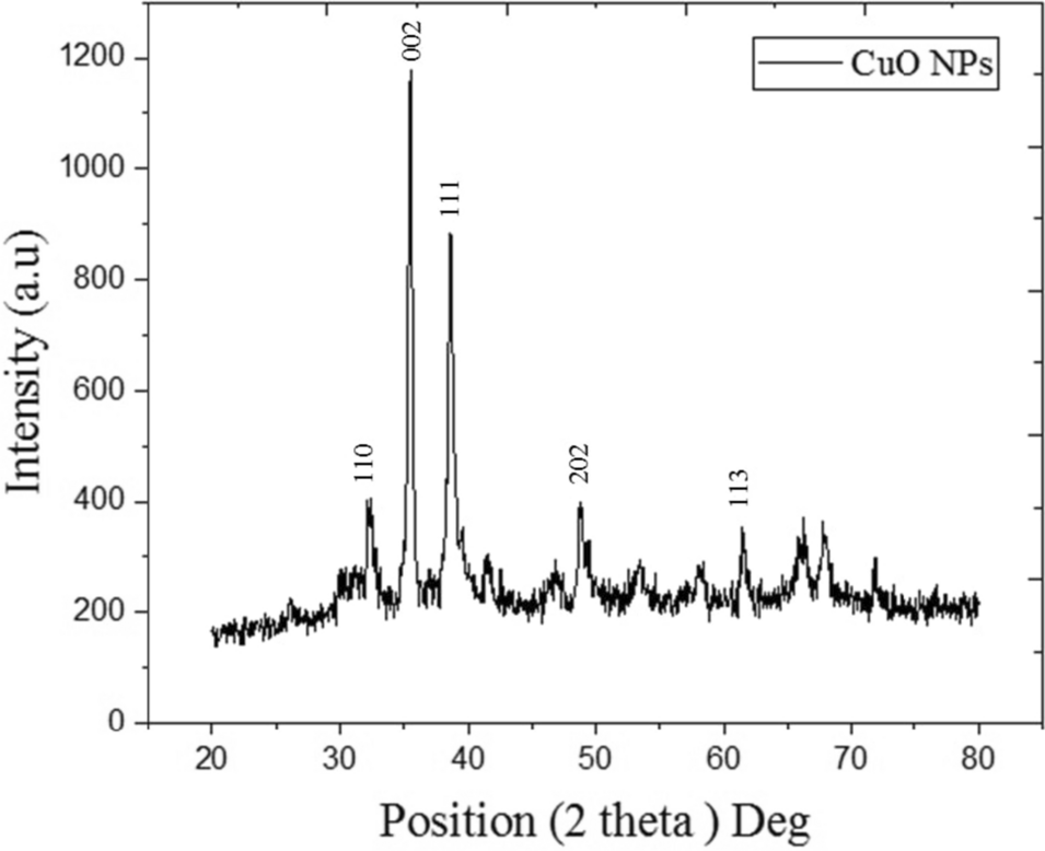 Synthesis, characterization, and antimicrobial activity of CuO nanoparticles and CuO/Ag nanocomposites