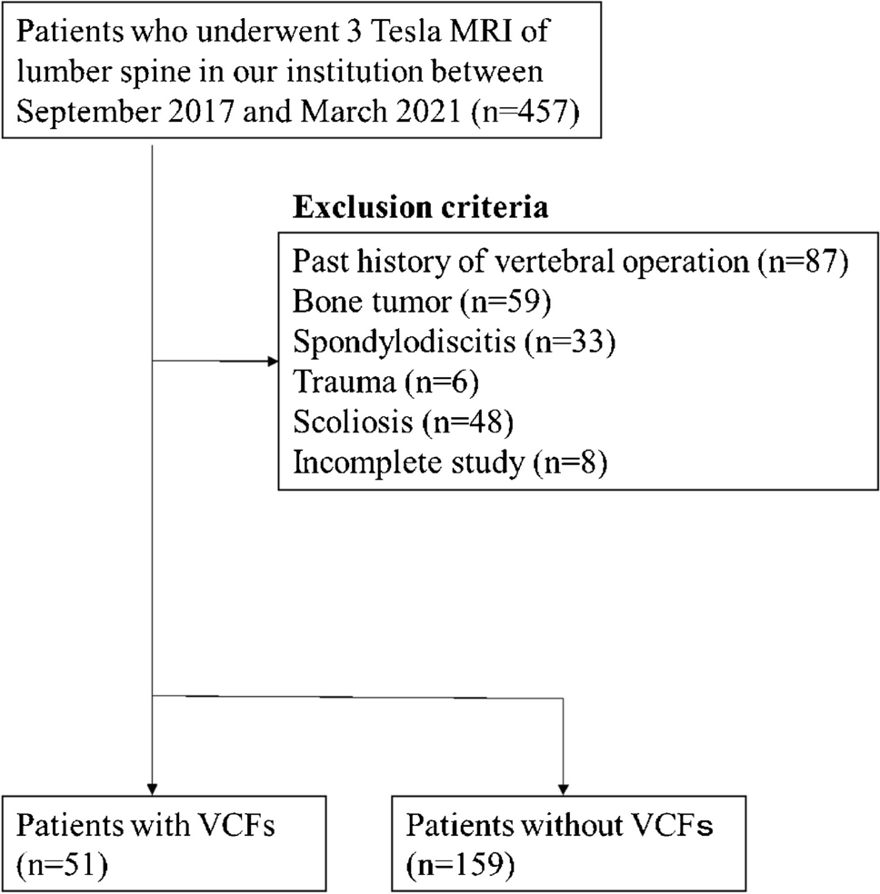 Evaluation of the association between osteoporotic vertebral compression fractures and psoas major/paraspinal muscle mass and ADC measured on MRI