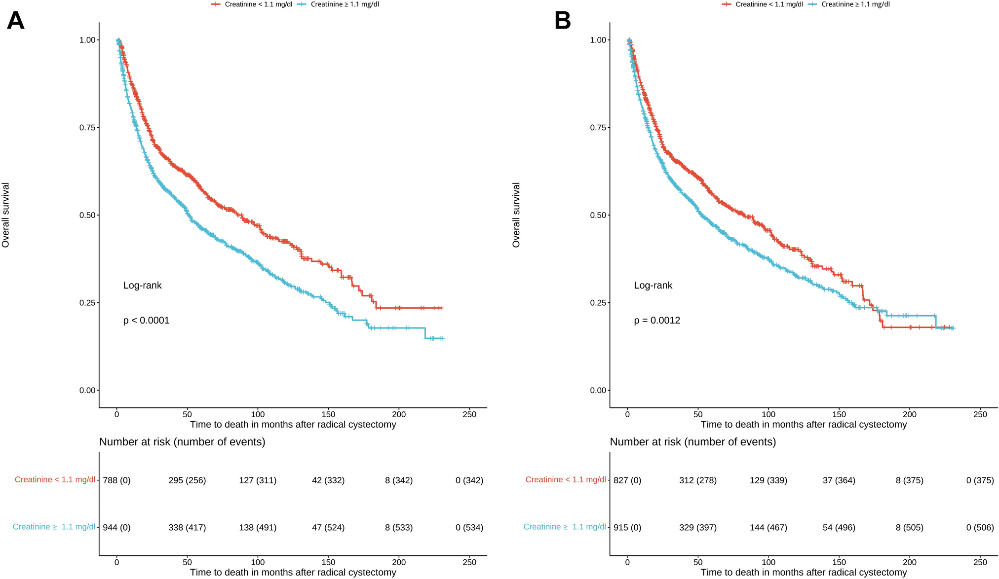 The impact of perioperative risk factors on long-term survival after radical cystectomy: a prospective, high-volume cohort study