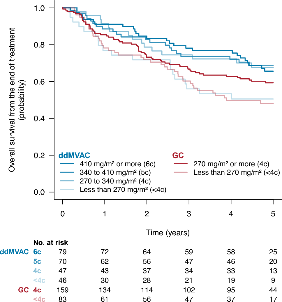 Perioperative chemotherapy in bladder cancer: the more cisplatin, the best survival?