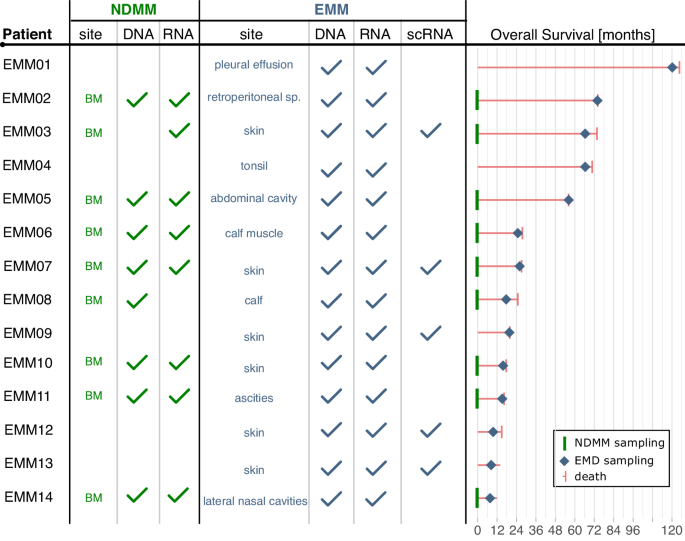 Beyond the marrow: insights from comprehensive next-generation sequencing of extramedullary multiple myeloma tumors