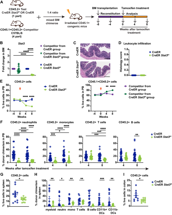 STAT3 protects hematopoietic stem cells by preventing activation of a deleterious autocrine type-I interferon response