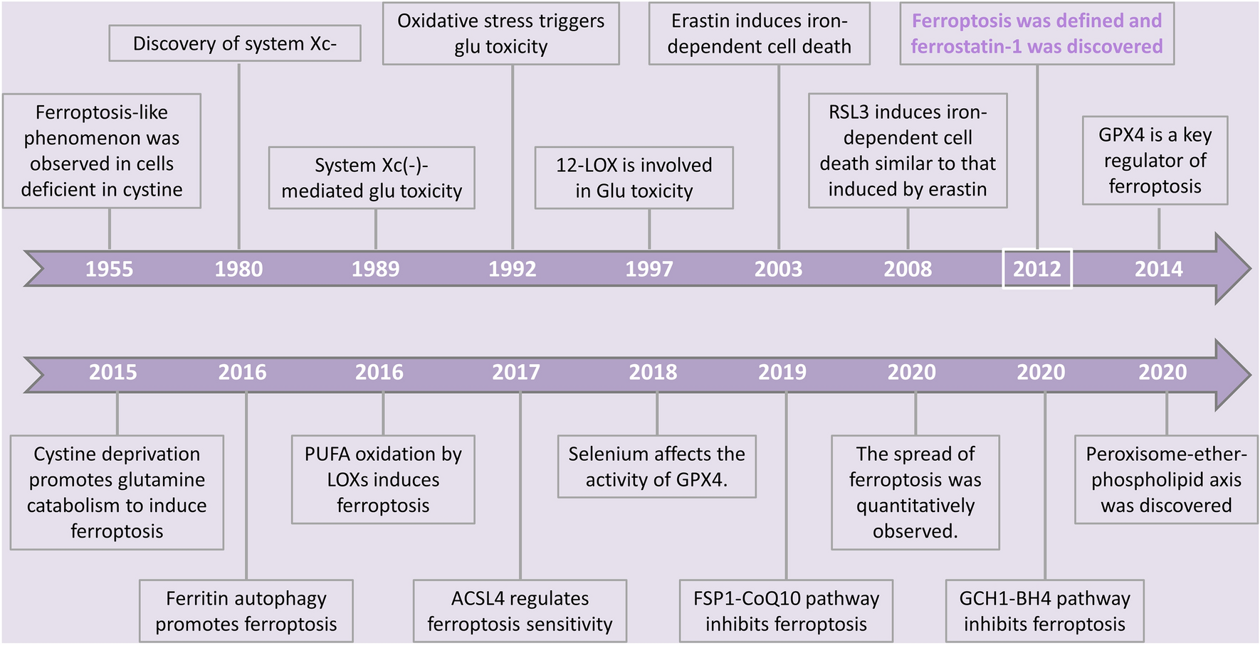 Harnessing ferroptosis for enhanced sarcoma treatment: mechanisms, progress and prospects