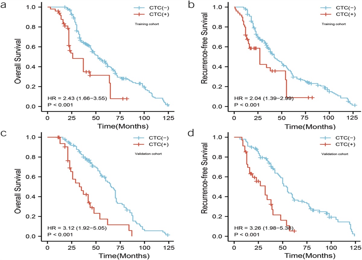 A Novel Nomogram to Predict Resectable Gastric Cancer Based on Preoperative Circulating Tumor Cell