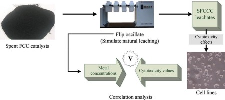 In vitro assessment of cytotoxicity of spent fluid catalytic cracking refinery catalysts on cell lines and identification of critical toxic metals