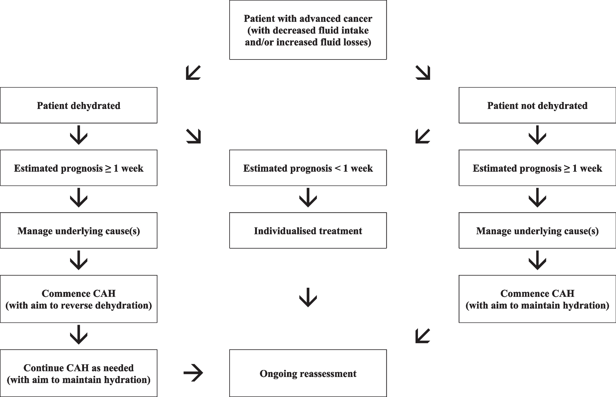 Multinational Association of Supportive Care in Cancer (MASCC) expert opinion/guidance on the use of clinically assisted hydration in patients with advanced cancer