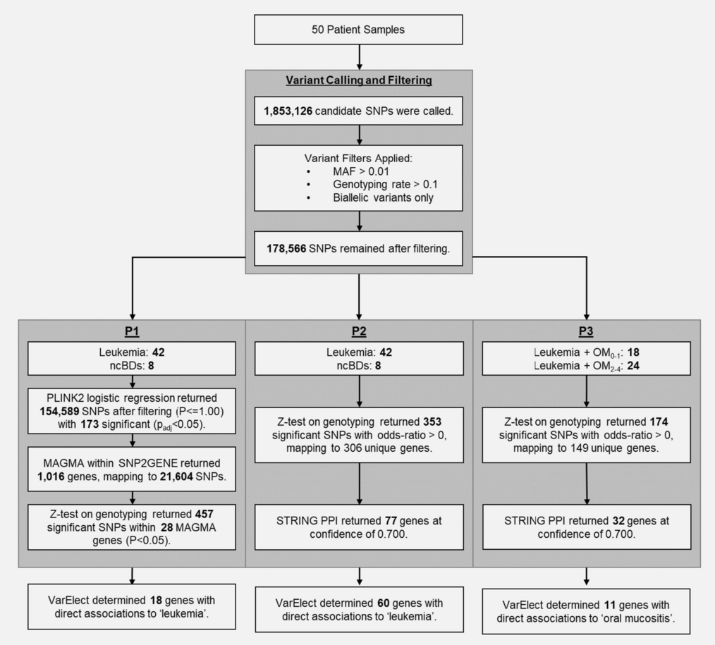 Single nucleotide polymorphisms conferring susceptibility to leukemia and oral mucositis: a multi-center pilot study of patients prior to conditioning therapy for hematopoietic cell transplant