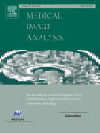 Hybrid representation learning for cognitive diagnosis in late-life depression over 5 years with structural MRI