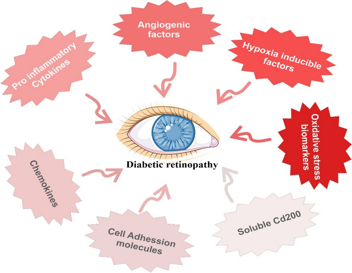 Chitosan as a promising materials for the construction of nanocarriers for diabetic retinopathy: an updated review