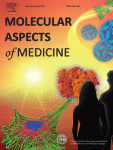 Principles of digital sequencing using unique molecular identifiers