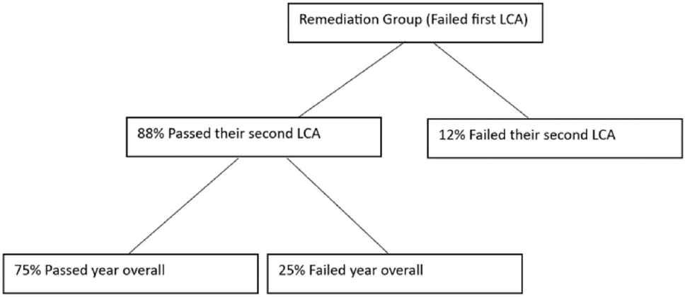 Examining the approach to medical remediation programmes—an observational study