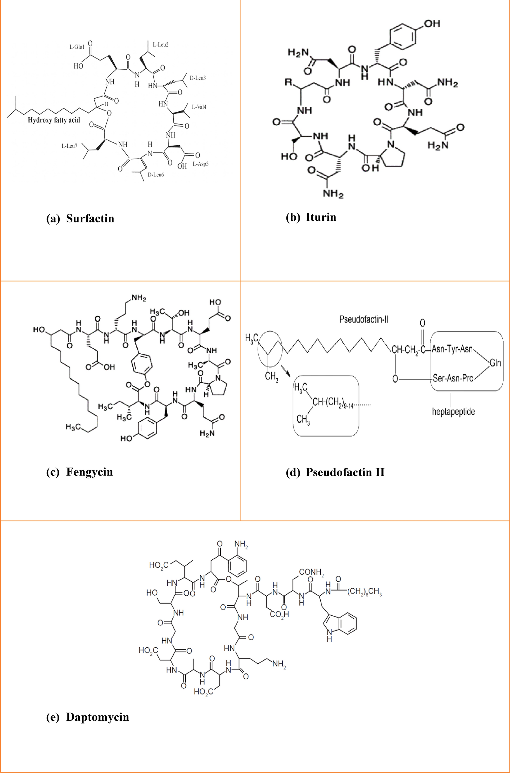 Microbial lipopeptides: their pharmaceutical and biotechnological potential, applications, and way forward