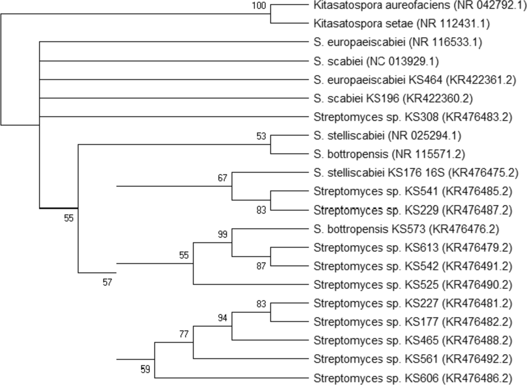 Evaluation of molecular typing methods for some scab-causing Streptomyces strains from Turkey