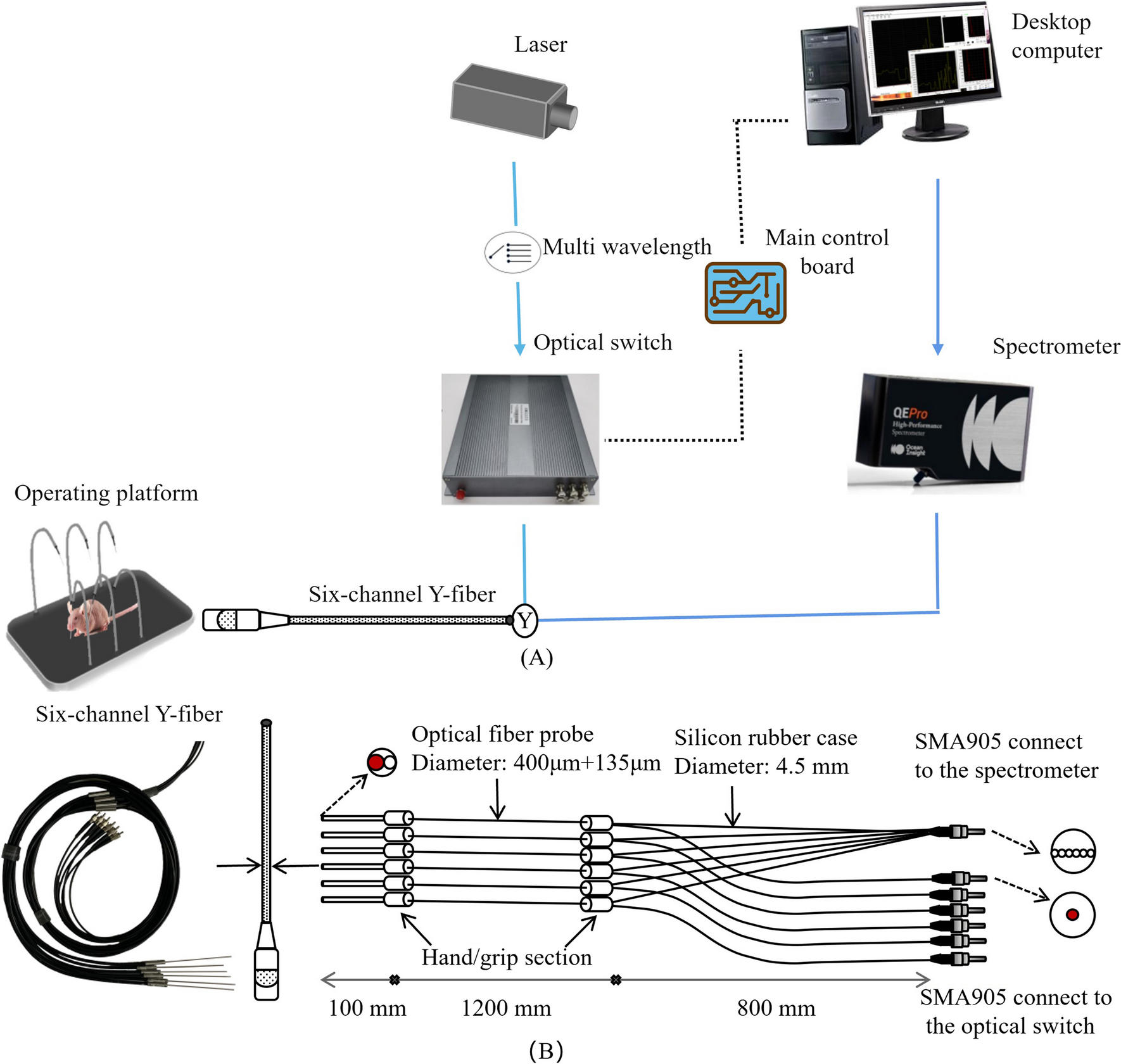 Multi-channel Small Animal Drug Metabolism Real-Time Monitoring Fluorescence System