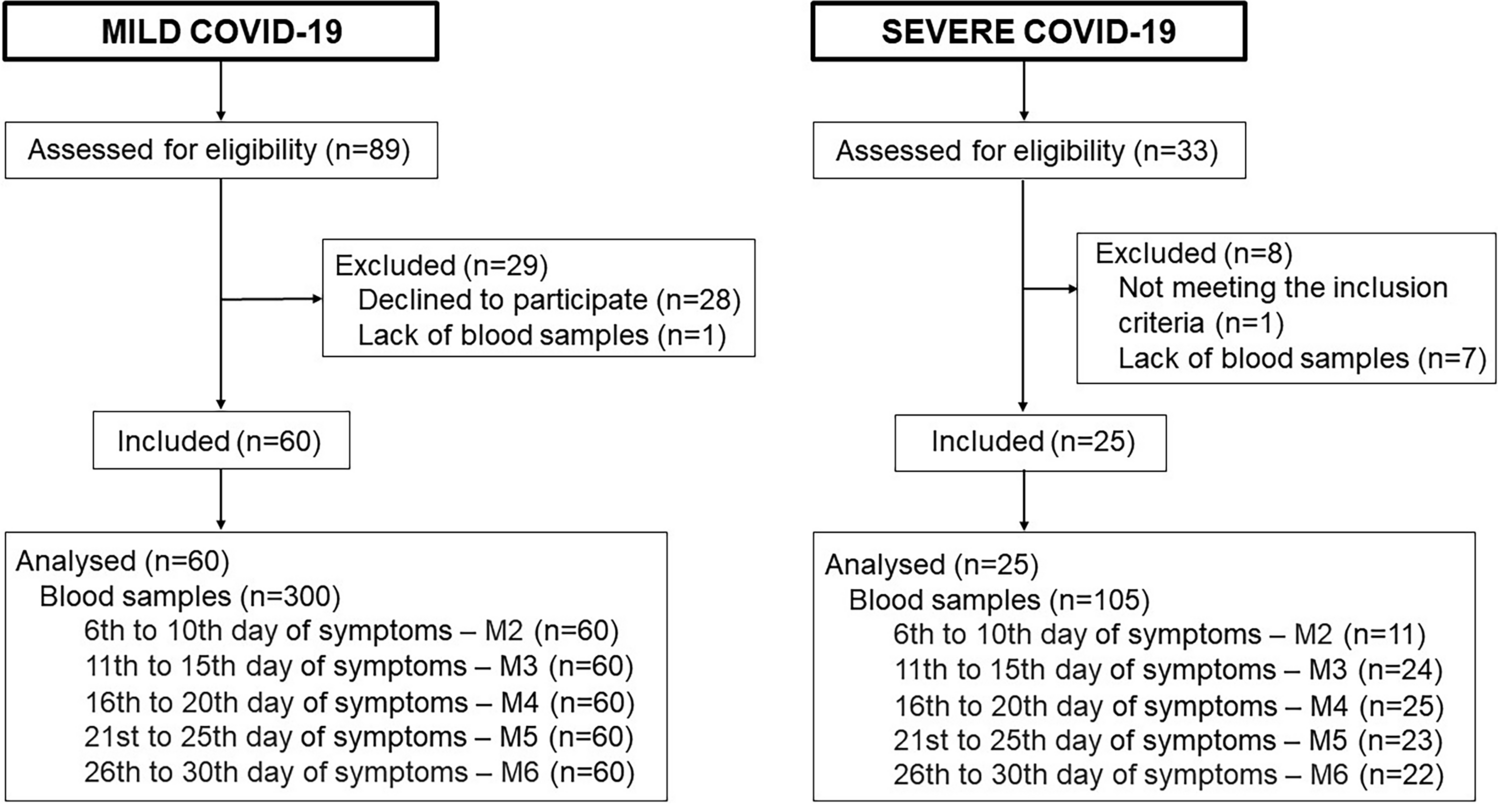 Persistent hypofibrinolysis in severe COVID-19 associated with elevated fibrinolysis inhibitors activity