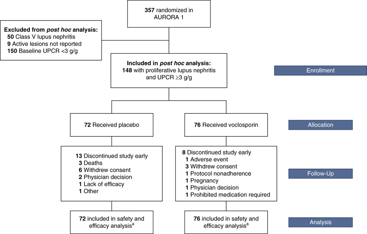Efficacy of Voclosporin in Proliferative Lupus Nephritis with High Levels of Proteinuria